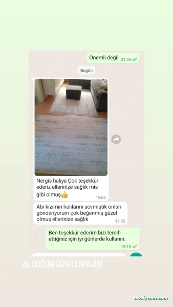 Öz Nergis Halı Ve Koltuk Yıkama Fabrikası