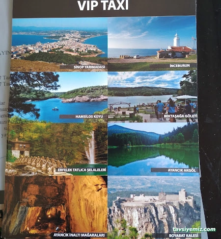 Öz Sinop Taksi Gelincik