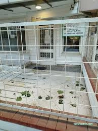 Özel Ak Yabancı Dil Kursu