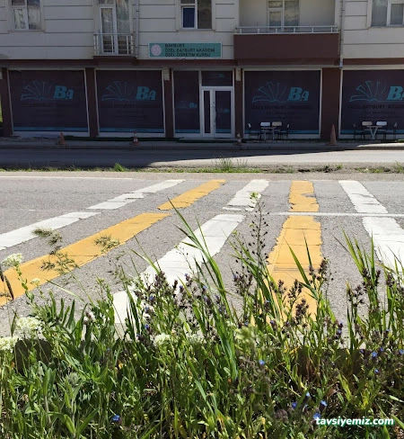 Özel Bayburt Akademi