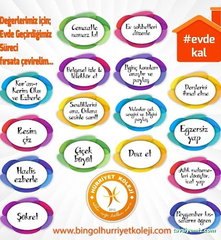 Özel Bingöl Hürriyet Koleji