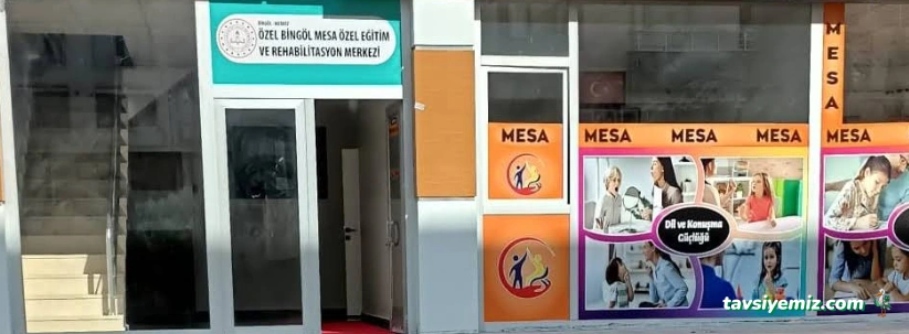 Özel Bingöl Mesa Özel Eğitim