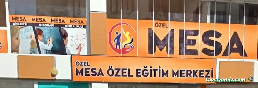 Özel Bingöl Mesa Özel Eğitim