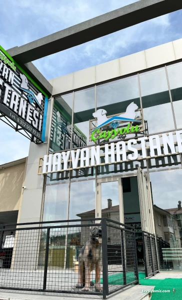 Özel Çayyolu Hayvan Hastanesi