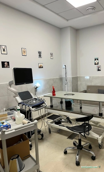 Özel Çayyolu Hayvan Hastanesi