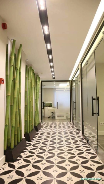 Özel Giresun Ağiz Ve Diş Sağliği Polikliniği