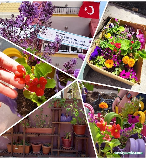 Özel Kütahya Umut Özel Eğitim Ve Rehabilitasyon Merkezi