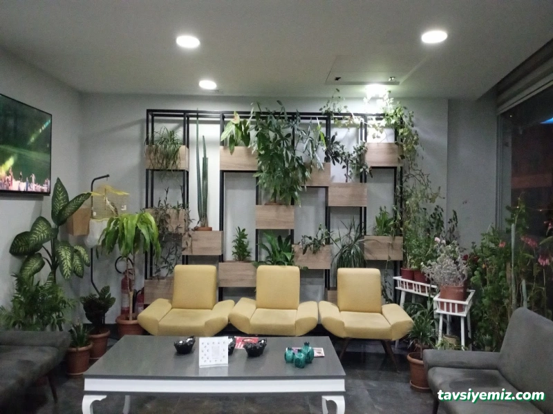 Özel Mfsdent Ağız Ve Diş Sağlığı Polikliniği