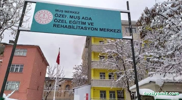 Özel Muş Ada Özel Eğitim Ve Rehabiliasyon Merkezi