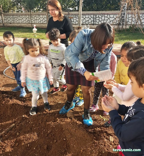 Özel Ögem Çocuk Köyü Anaokulu