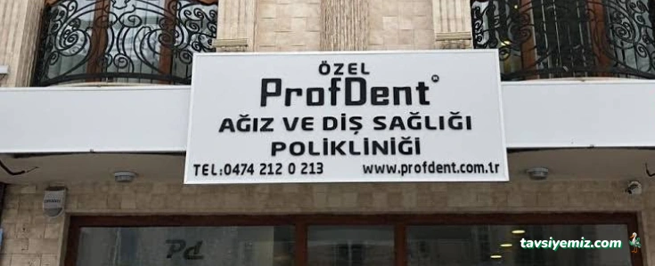Özel Profdent Kars Ağız Ve Diş Sağlığı Polikliniği