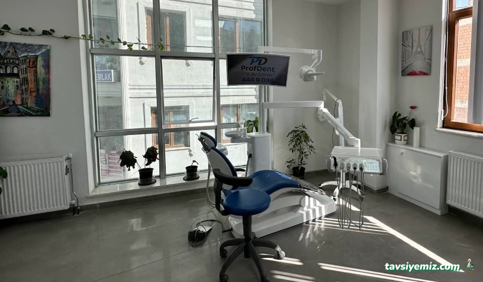 Özel Profdent Van Ağız Ve Diş Sağlığı Polikliniği