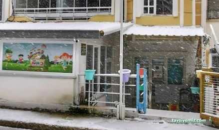 Özel Pusula Özel Eğitim