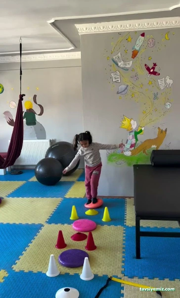 Özel Van Başak Özel Eğitim Ve Rehabilitasyon Merkezi