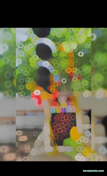 Özel Van Başak Özel Eğitim Ve Rehabilitasyon Merkezi