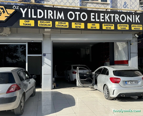 Özyıldırım Oto Elektronik