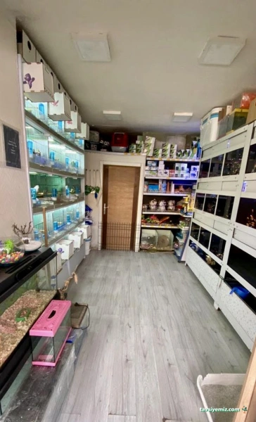 Pacıfıc Pet Supplıes & Pet Shop & Akvaryumcu