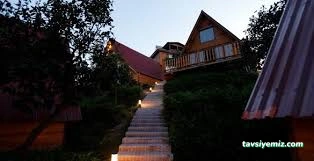 Pafuli Bungalov Rize