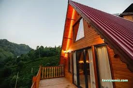 Pafuli Bungalov Rize