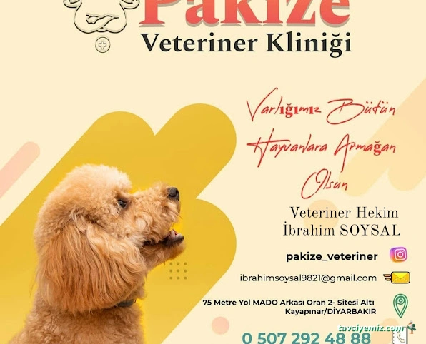 Pakize Pet Veteriner Kliniği
