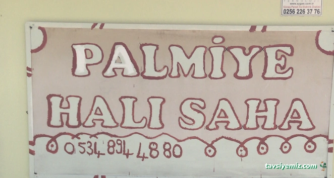 Palmiye Halı Saha