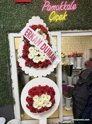 Pamukkale Çiçek / Denizli