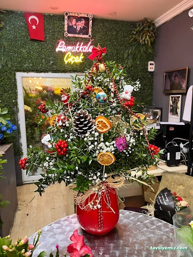 Pamukkale Çiçek / Denizli