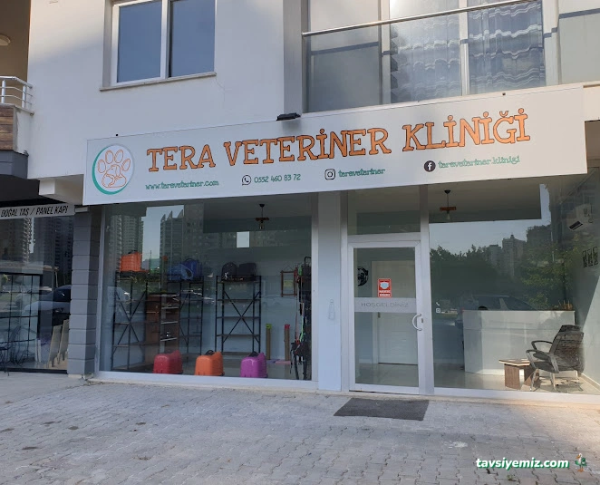Pan Veteriner Klinigi -Bülent Altınlı