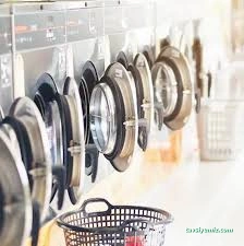 Papatya Çamaşır Yıkama Salonu