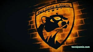Pars Game É-Sports