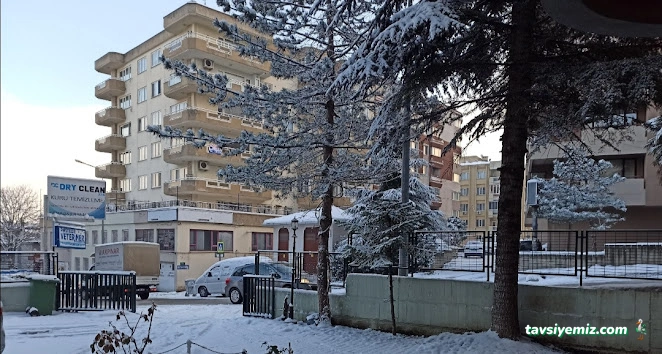 Pasteur Veteriner Muayenehanesi