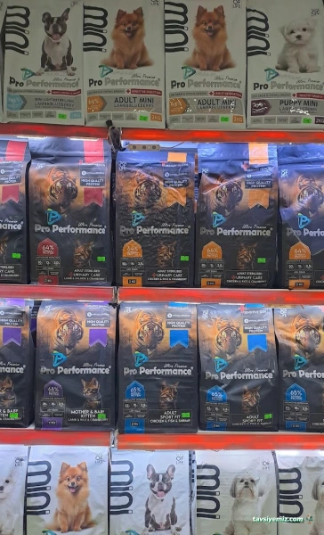 Pati Petshop Trabzon