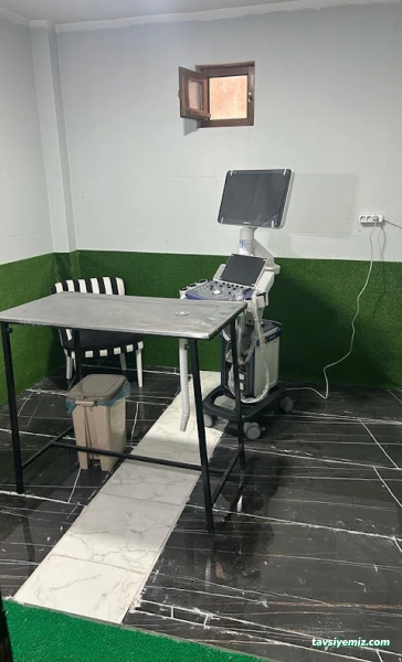 Patika Veteriner Kliniği | Elazığ Veteriner | Elazığ Veteriner Kliniği