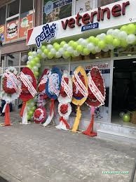 Patipaty Pet Veteriner Kliniği