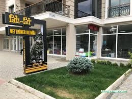 Patipet Veteriner Kliniği