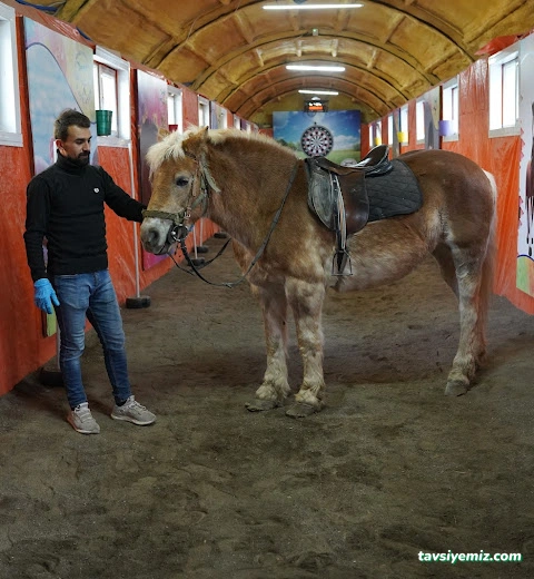 Paylaşım Özel Eğitim Ve Rehabilitasyon Merkezi & Floortime & Duyu Bütünleme Merkezi