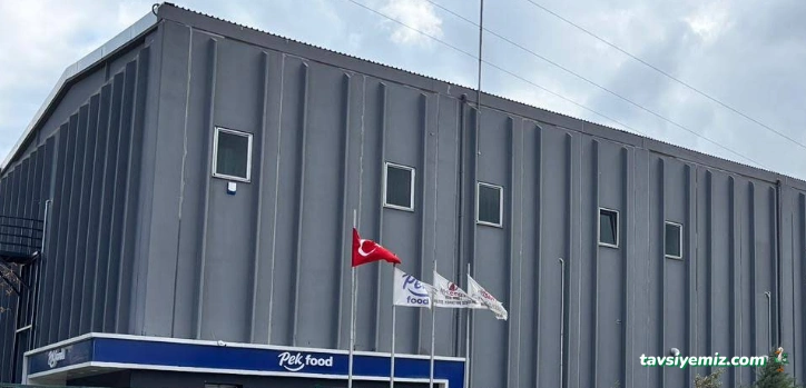 Pek Dondurulmuş Gıda San. Ve Tic. A.ş.