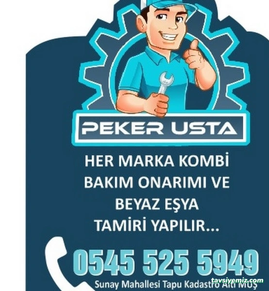 Peker Teknik Kombi Servisi Muş