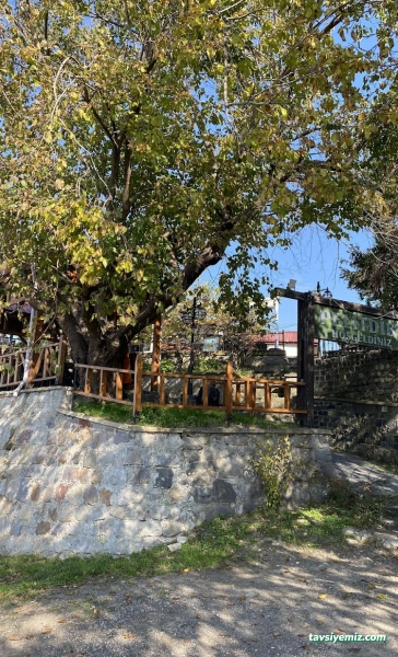 Pelitdibi Cafe&Restoran
