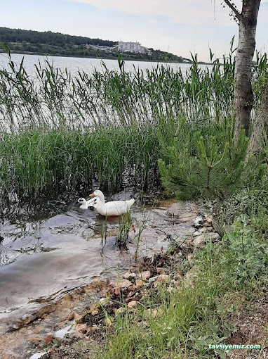Pelitözü Gölpark Erkan Lunapark
