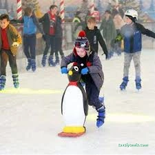 Penbuz Penguen Buz Pisti Ve Eğlence Merkezi