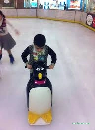 Penbuz Penguen Buz Pisti Ve Eğlence Merkezi