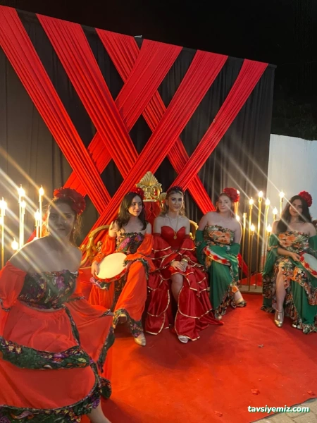 Penguen Organizasyon