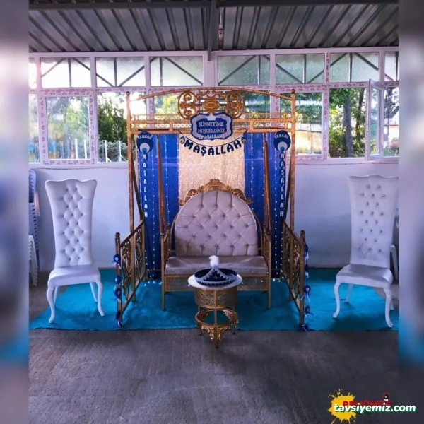 Penguen Organizasyon