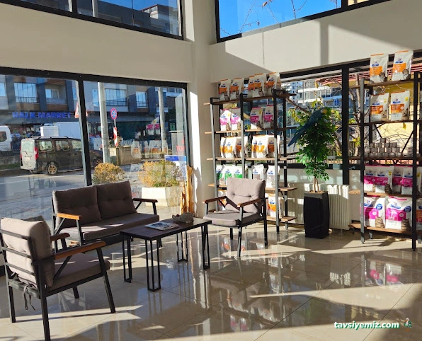 Perro Veteriner Kliniği