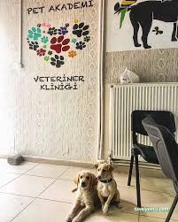 Pet Akademi Veteriner Kliniği