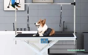 Pet Center | Pet Kuaför