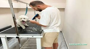 Pet Center | Pet Kuaför