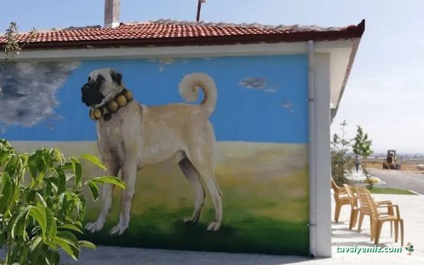 Pet-İ Bor Rehabilite Merkezi