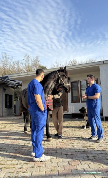 Pet İv Veteriner Kliniği 7/24 Acil Veteriner Bahçeşehir-Ispartakule